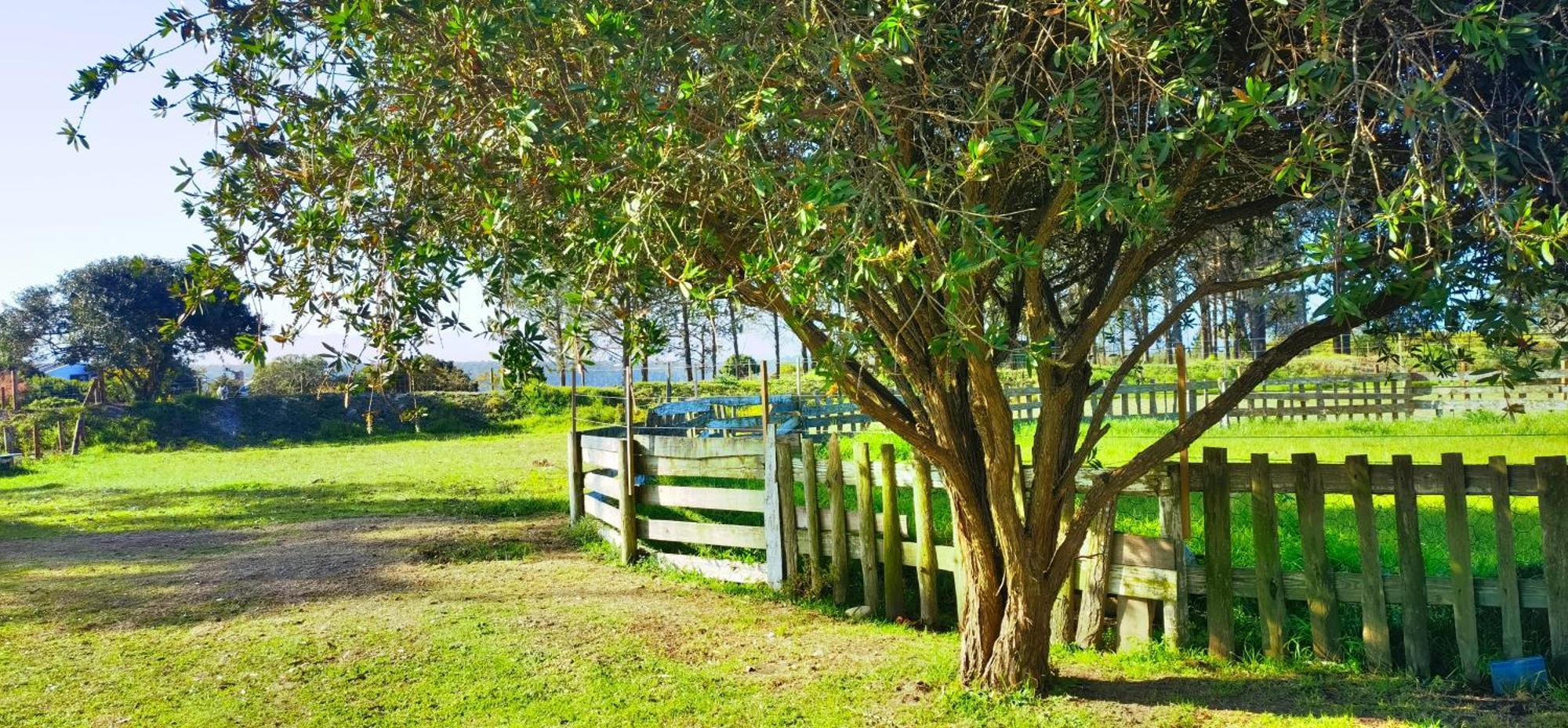 Moonsong Accommodation & Camping Plettenberg Bay Exterior photo