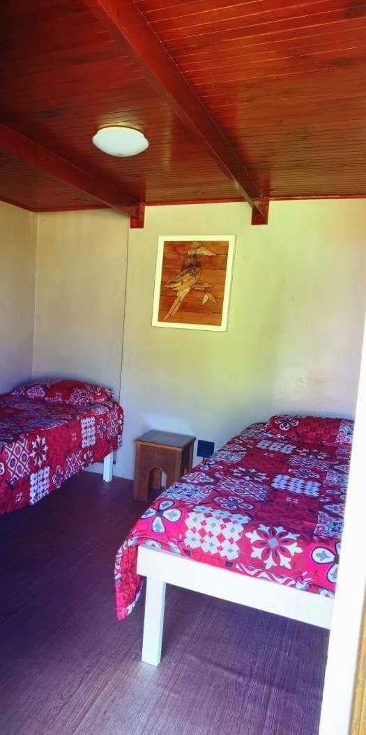 Moonsong Accommodation & Camping Plettenberg Bay Exterior photo